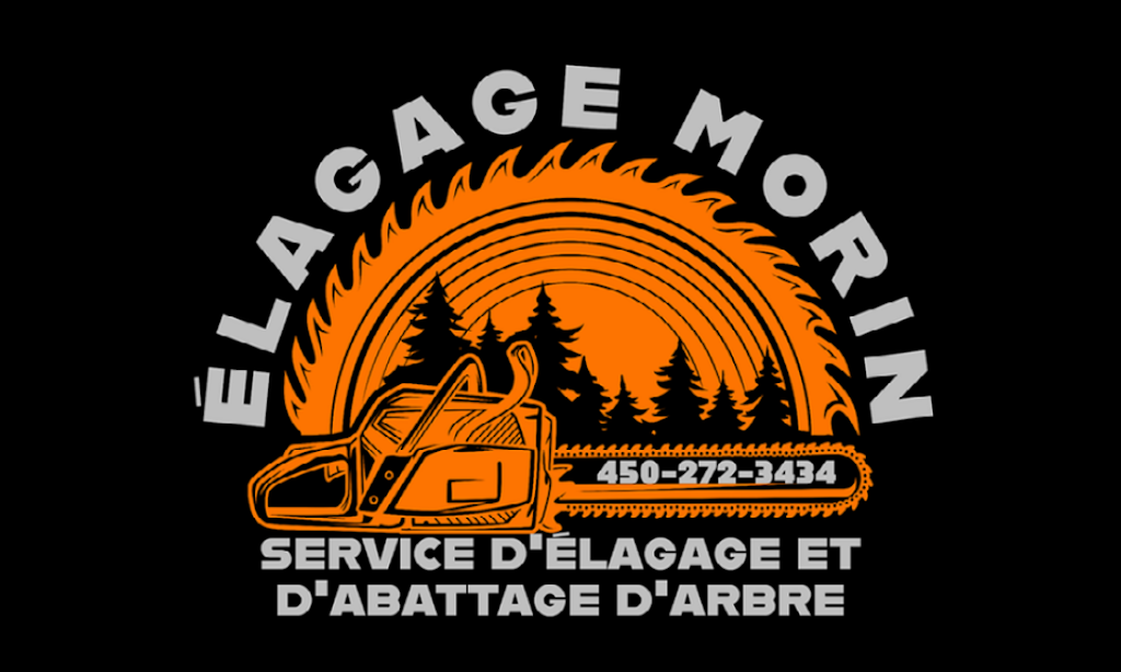 Élagage Morin (abattage et élagage) | 189 Chem. de Covey Hill, Hemmingford, QC J0L 1H0, Canada | Phone: (450) 272-3434