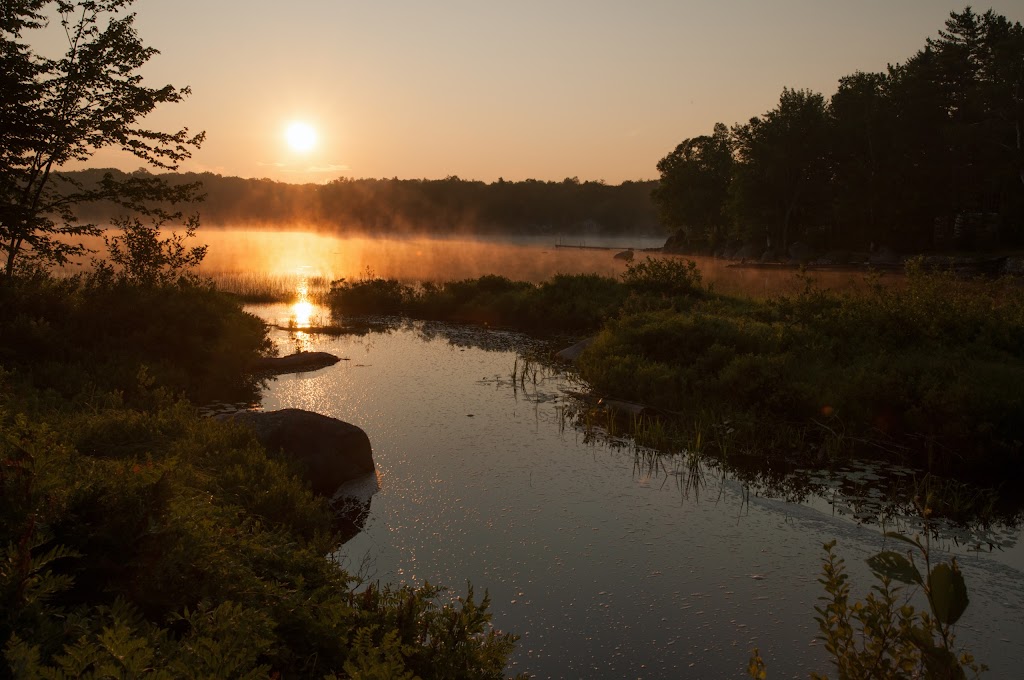 Raven Haven | 2239 Virginia Rd, Annapolis Royal, NS B0S 1A0, Canada | Phone: (902) 532-7320