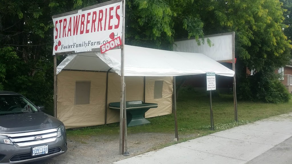 Foster Family Farm - North Gower Farm Stand | 2345 Roger Stevens Dr, North Gower, ON K0A 2T0, Canada | Phone: (613) 851-3903