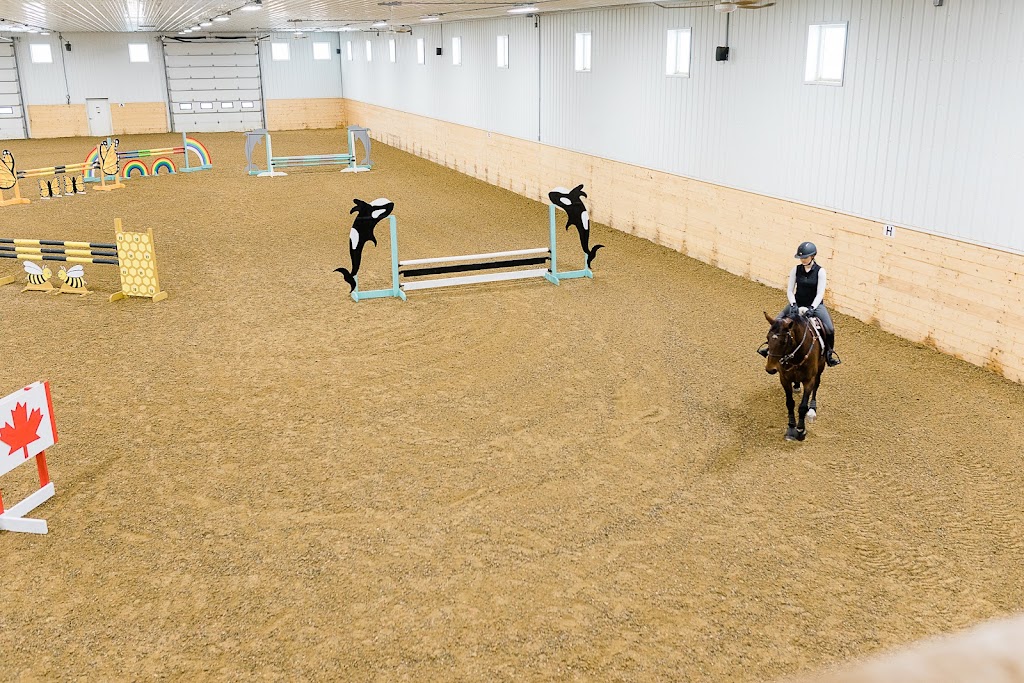 Ten Equestrian | 53524 Range Rd 263A, Alberta T8T 1G8, Canada | Phone: (780) 905-3725