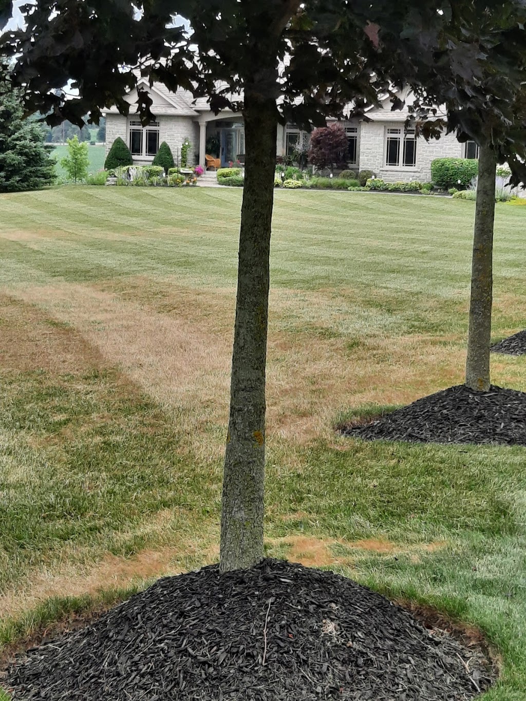 Star Lawn Svc | 32 Bretz Ave, Cambridge, ON N3C 2W9, Canada | Phone: (519) 658-7189