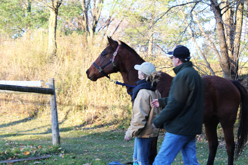 The Stable Grounds - Therapy for PTSD | 22678 Johnston Line, Rodney, ON N0L 2C0, Canada | Phone: (905) 717-5921