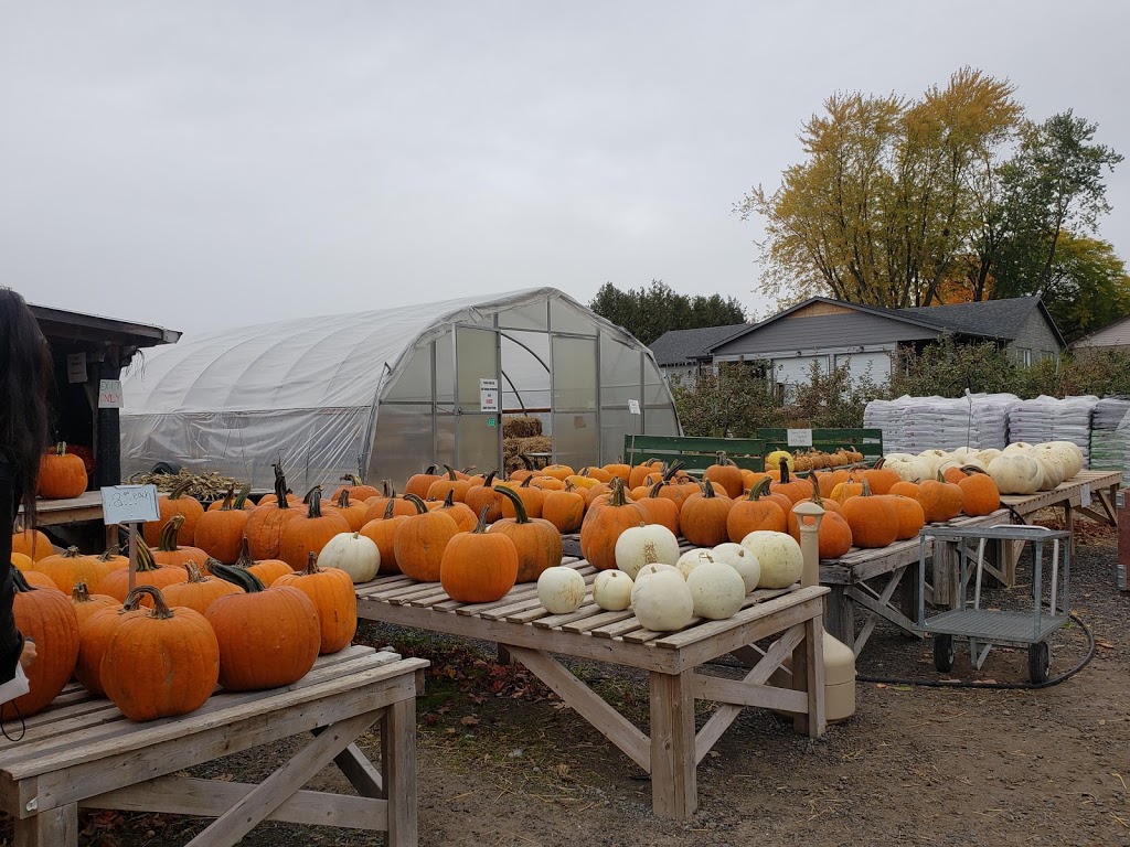 Rutherfords Farm and Roadside Market | 205 King St E, Colborne, ON K0K 1S0, Canada | Phone: (905) 355-3024