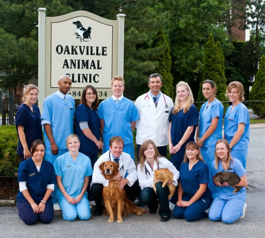 Oakville Animal Clinic | 218 Kerr St, Oakville, ON L6K 3A8, Canada | Phone: (905) 845-1234