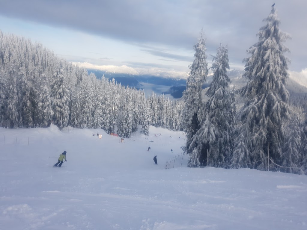 Cypress Mountain | 6000 Cypress Bowl Rd, West Vancouver, BC V0N 1G0, Canada | Phone: (604) 926-5612