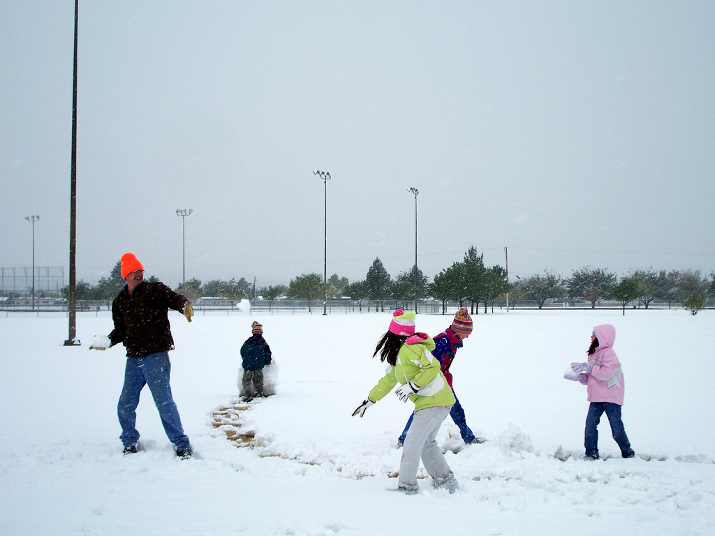 Trenton Ontario Lawn Care & Snow Removal | 102 King St, Trenton, ON K8V 3W2, Canada | Phone: (905) 391-8399