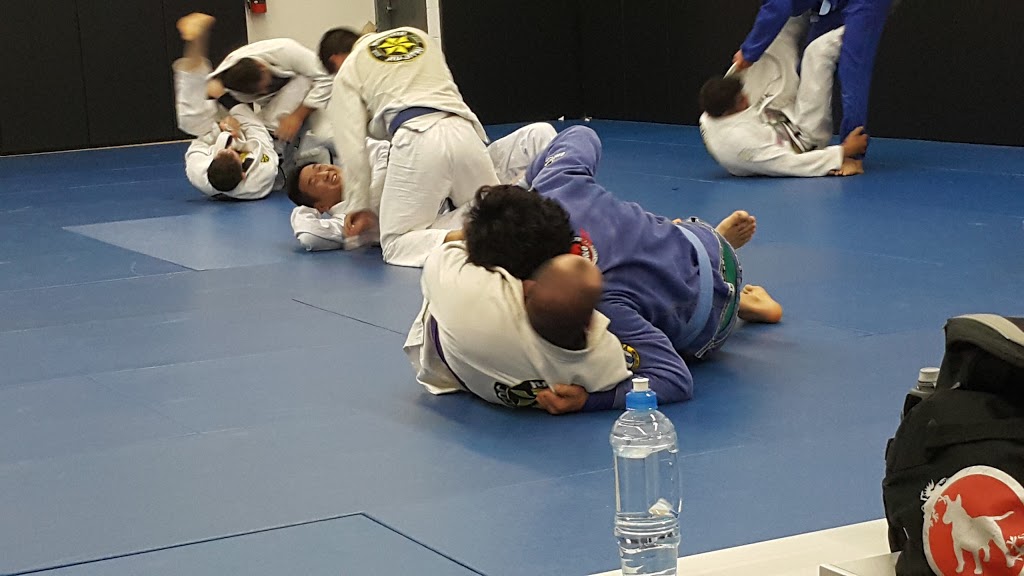 True North Jiu Jitsu | 931 Brunette Ave B, Coquitlam, BC V3K 6T5, Canada | Phone: (778) 772-2867