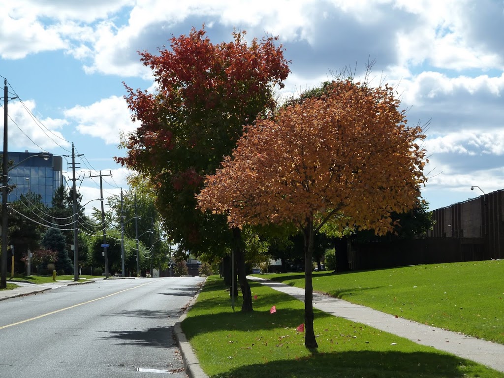 CN Leaside Spur Park | 814 Lawrence Ave E, North York, ON M3C 2E7, Canada