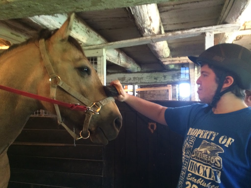 The Equine Connection Therapeutic Riding & Learning Centre | Private farm, Caledon Village, ON L7K 2B2, Canada | Phone: (647) 237-3485