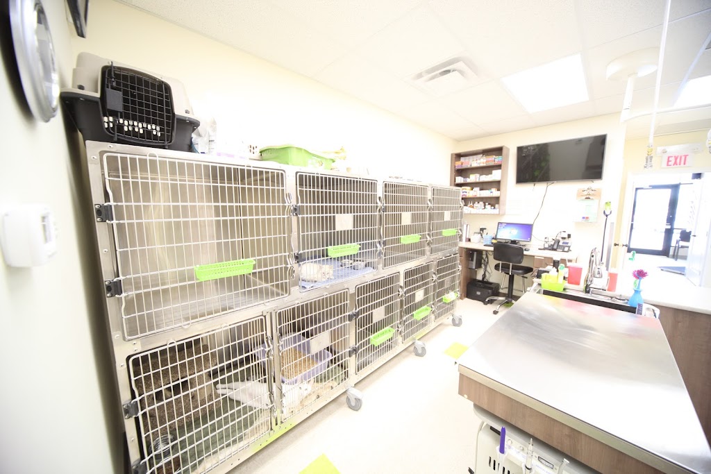 Oxford Animal Hospital | 15154 127 St NW, Edmonton, AB T6V 0C5, Canada | Phone: (780) 705-2131