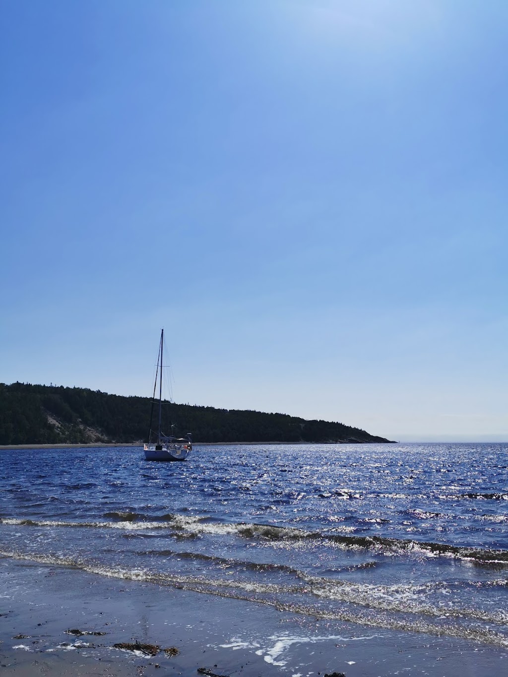 Marina de Tadoussac | 100 Rue du Bord de lEau, Tadoussac, QC G0T 2A0, Canada | Phone: (418) 235-4585