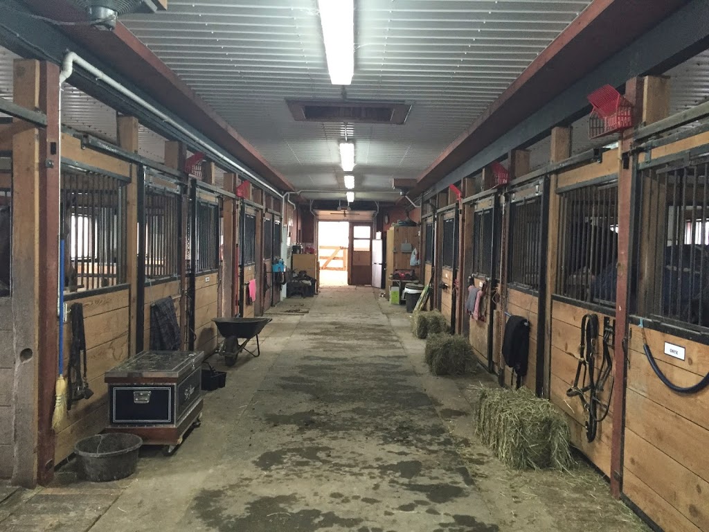 Center Equestrian La Misenselle | 325 Chemin du Ruisseau-des-Noyers, Saint-Jean-sur-Richelieu, QC J2Y 1J2, Canada | Phone: (450) 347-0172