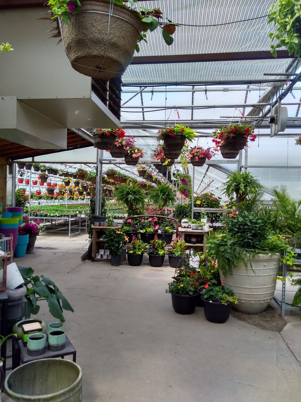 Greenhouse On The River | 4115 County Rd 32, Douro-Dummer, ON K0L 2H0, Canada | Phone: (705) 652-8154