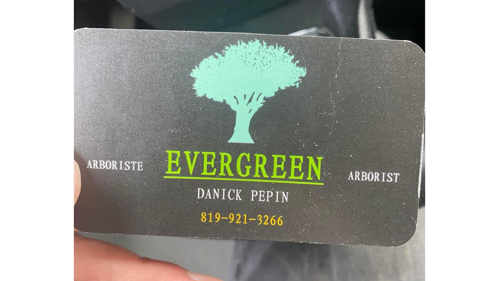 Arborist Evergreen | 16 Nature Ln, Chalk River, ON K0J 1J0, Canada | Phone: (819) 921-3266