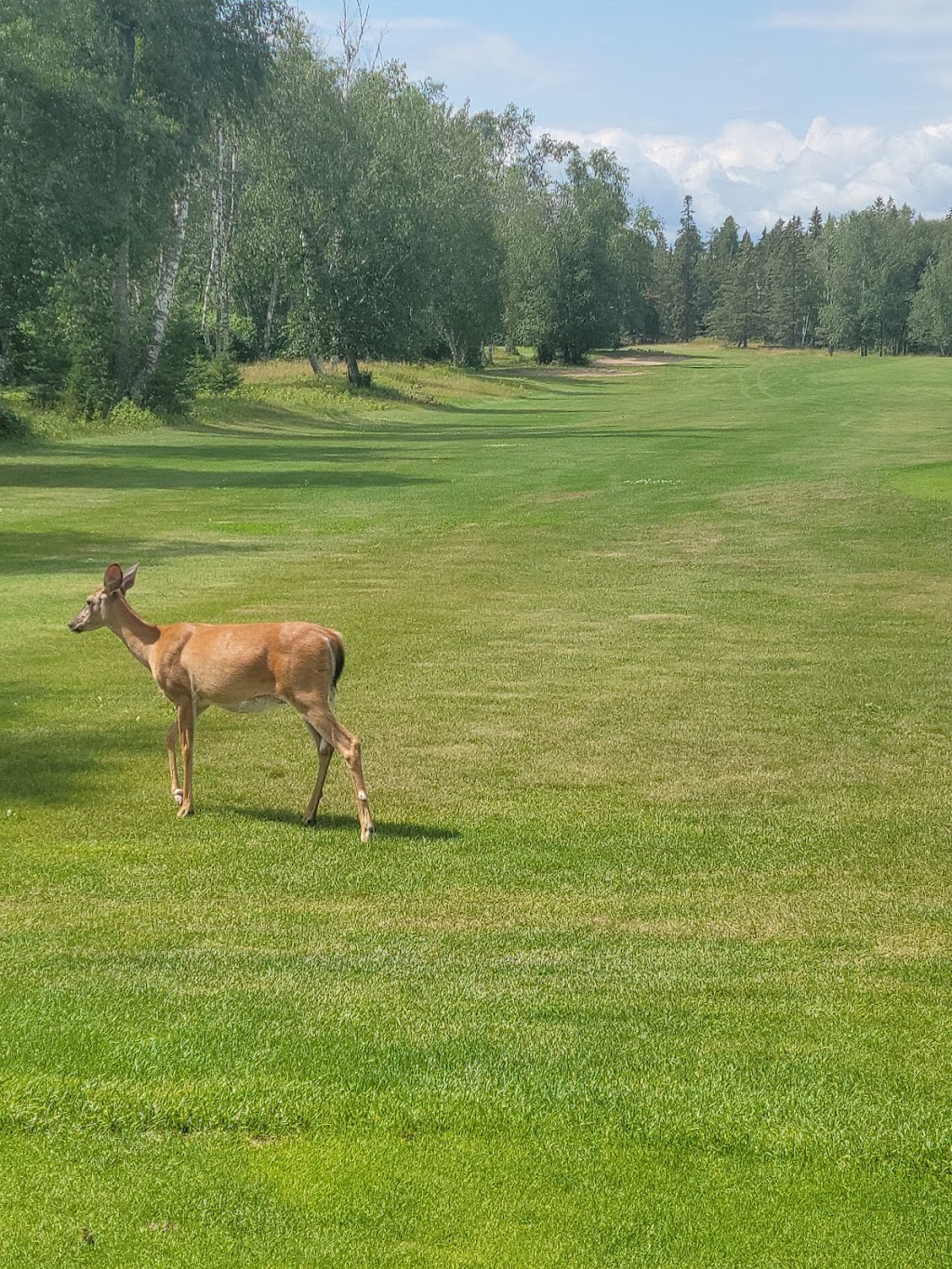 Lake of the Sandhills Golf Course | 30 Golf Course Rd, Buffalo Point, MB R0A 2W0, Canada | Phone: (204) 437-2777