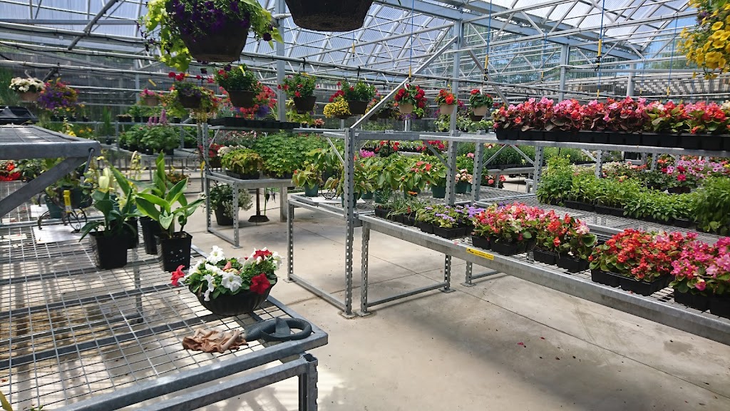 Vieveen Nursery | 468 Mara Rd, Beaverton, ON L0K 1A0, Canada | Phone: (705) 426-7067