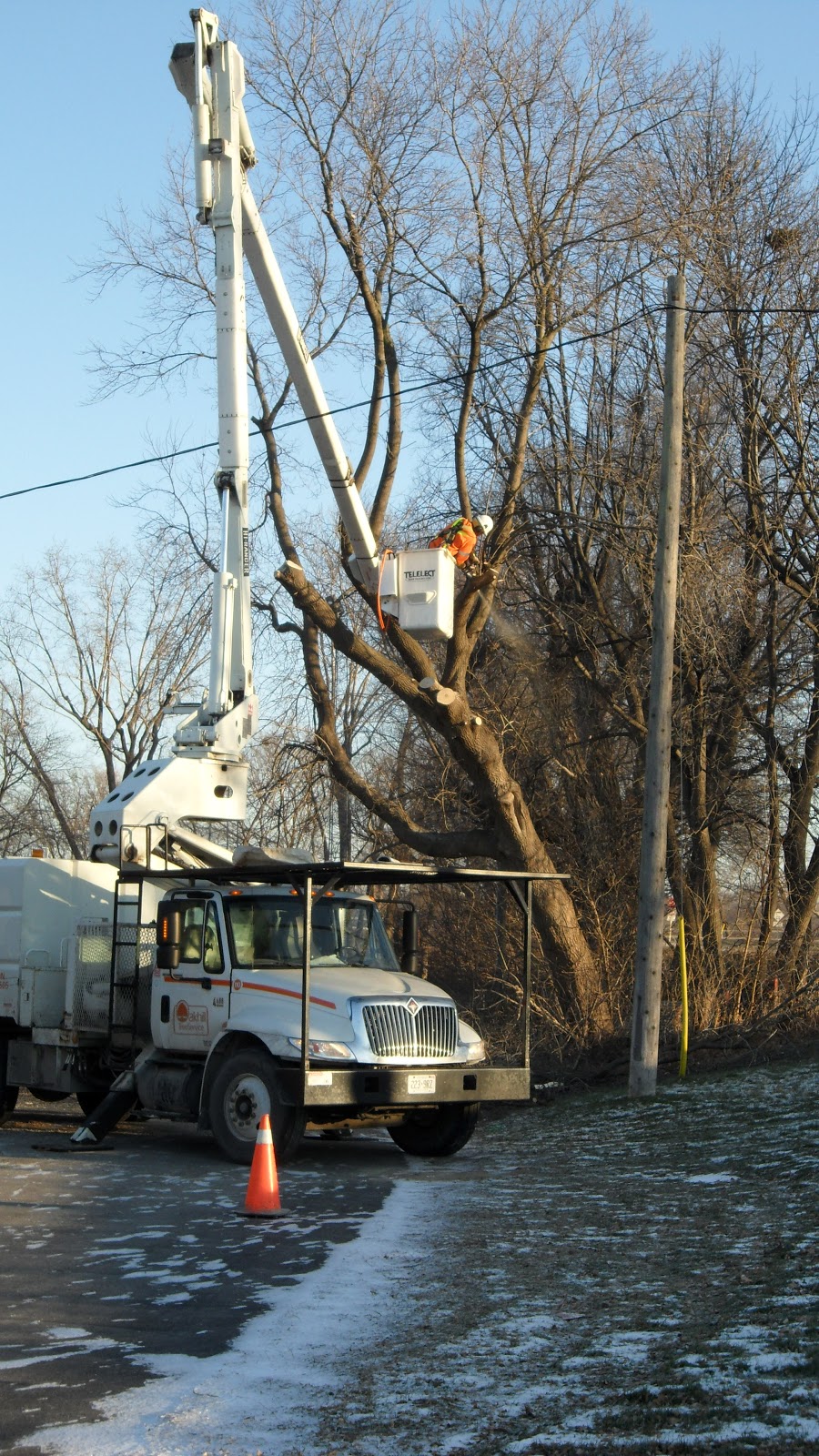 Oakhill Tree Service Ltd. | 20 Suncrest Ct, Cambridge, ON N1S 4Z9, Canada | Phone: (519) 751-3483