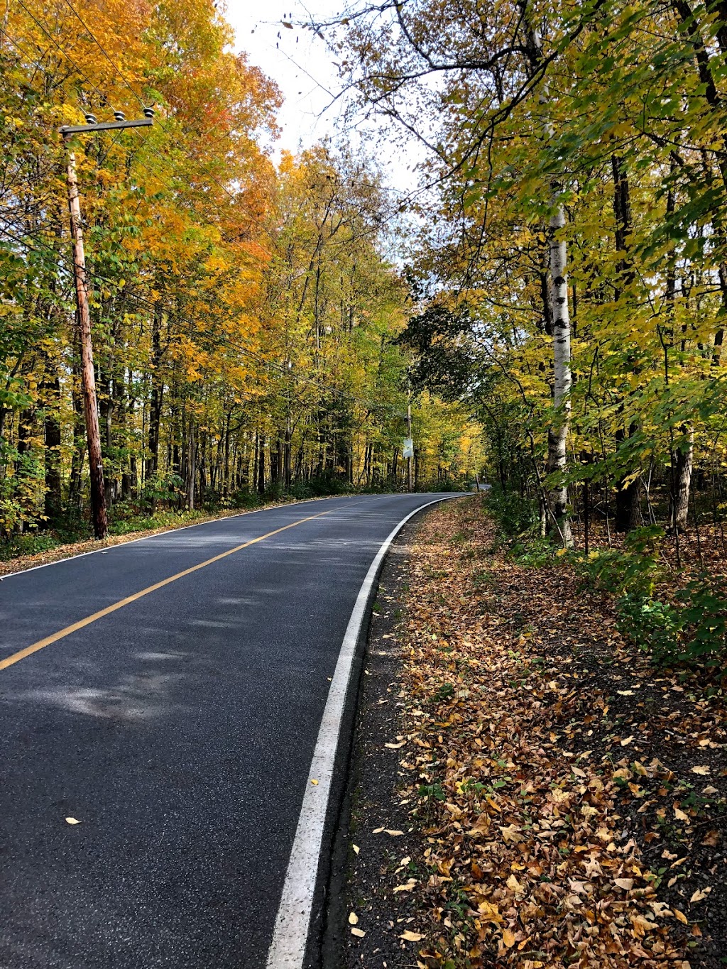 Bois-de-la-Roche Agricultural Park | Ch Senneville, Sainte-Anne-de-Bellevue, QC H9X 4A9, Canada