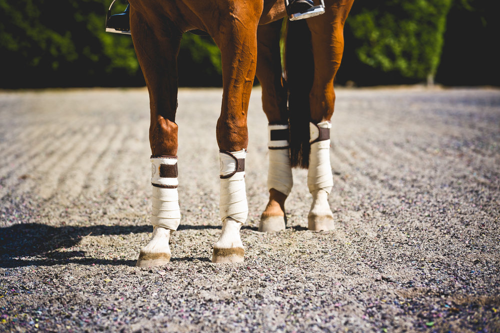 ReitenRight Equestrian Footing | 674 Derwent Way, Delta, BC V3M 5P8, Canada | Phone: (877) 275-1598