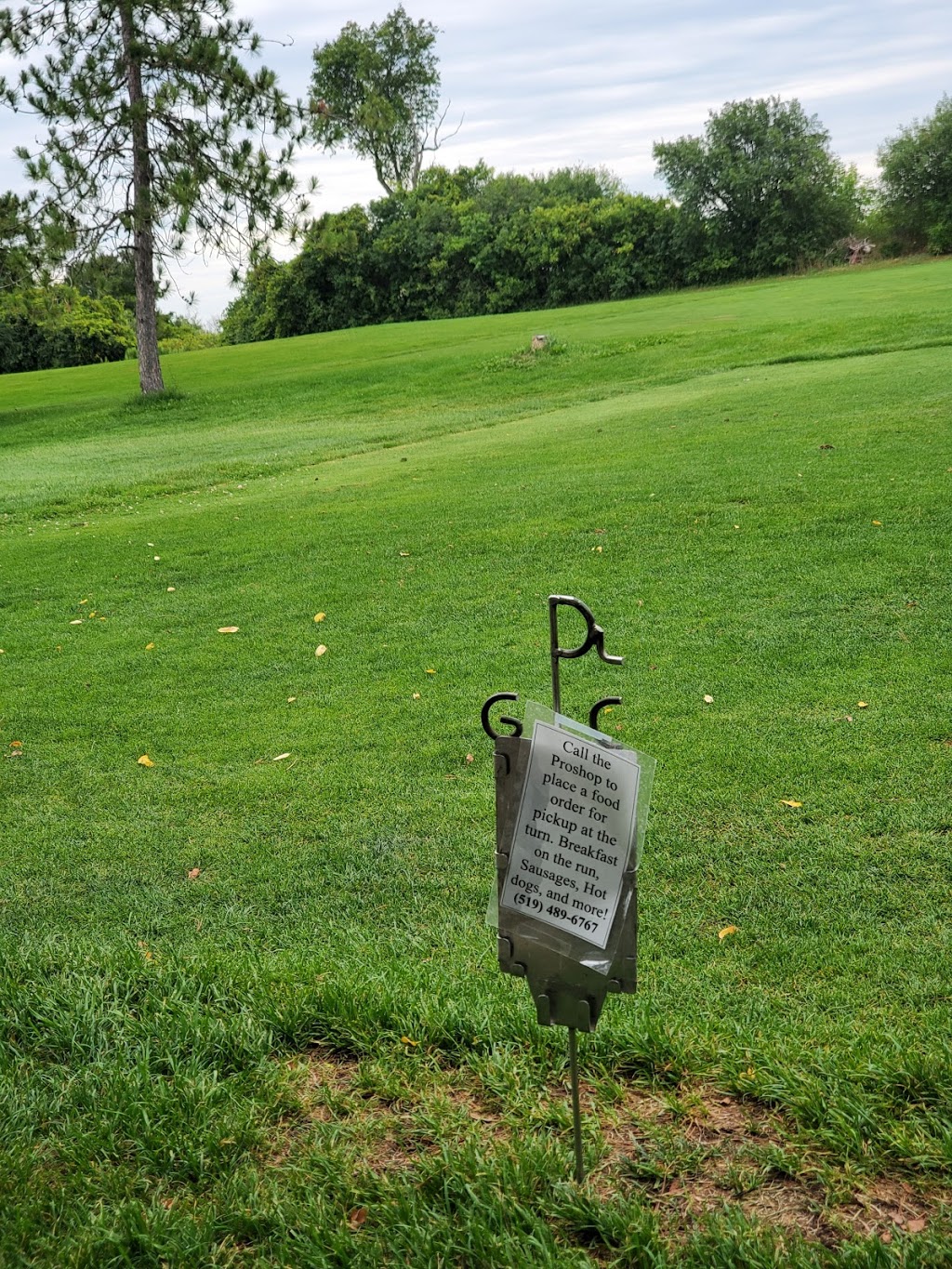 Puslinch Lake Golf Course | 6527 Ellis Rd, Cambridge, ON N3C 2V4, Canada | Phone: (519) 489-6767