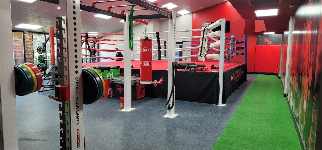 Red Owl Boxing | 952 Century Dr, Burlington, ON L7L 5P2, Canada | Phone: (877) 678-0367