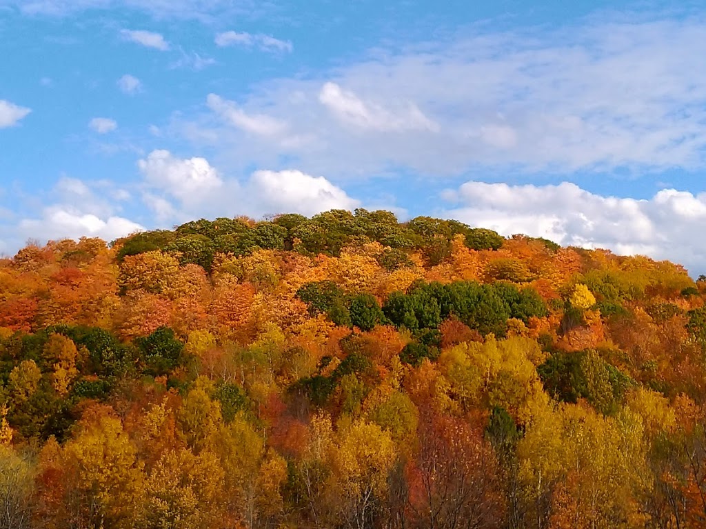 Domaine naturel du lac Gale | 201 Chemin du Lac Gale, Bromont, QC J2L 2S5, Canada | Phone: (450) 534-4414