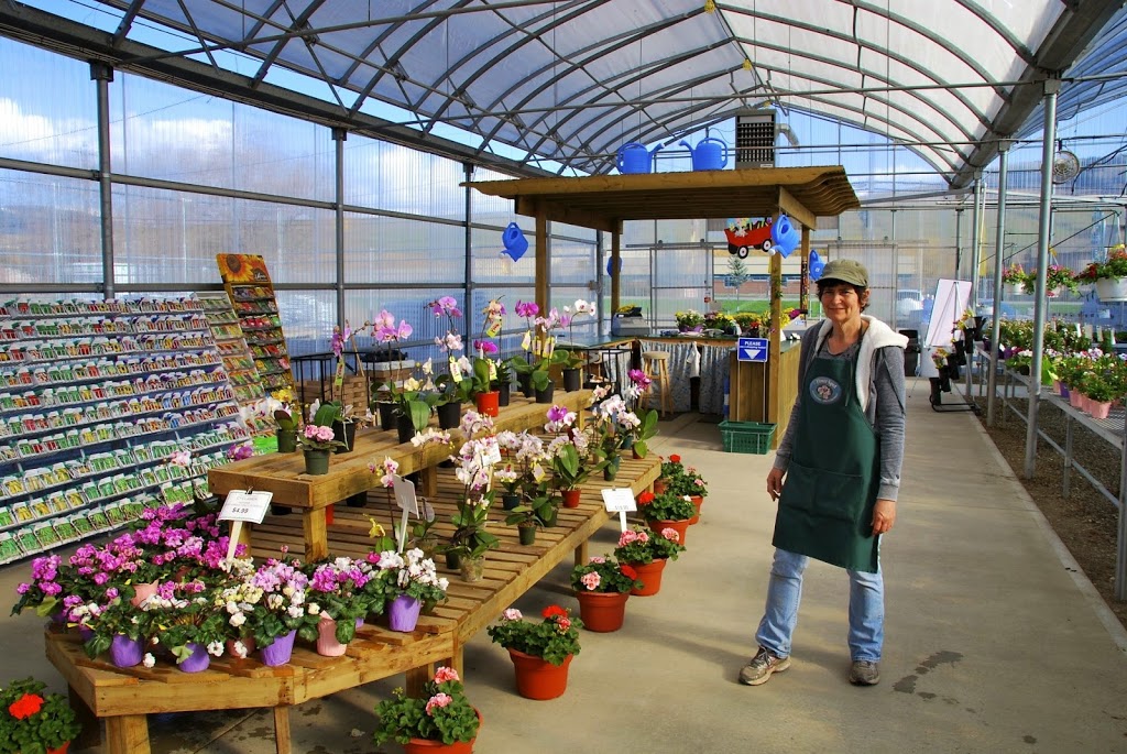 The Flower Spot Garden Centre | 5839 Okanagan Landing Rd, Vernon, BC V1H 1M3, Canada | Phone: (250) 549-0896