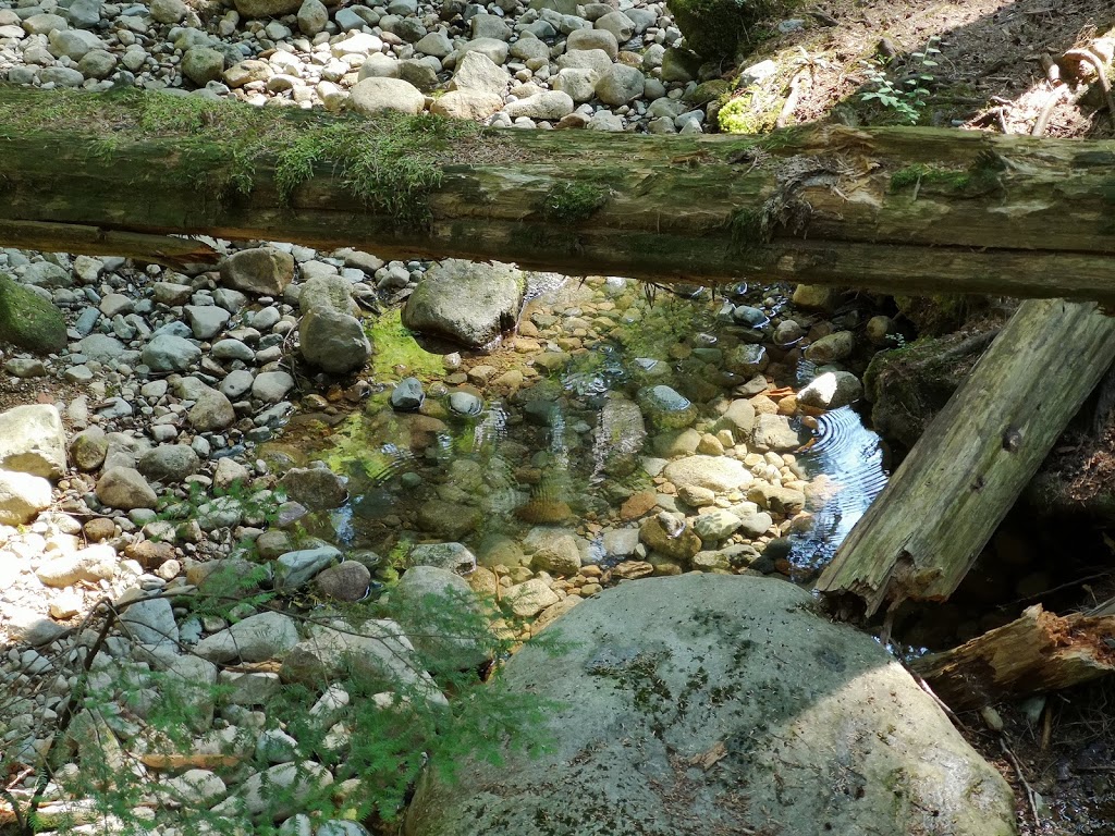 Old Buck Trailhead | North Vancouver, BC V7G, Canada