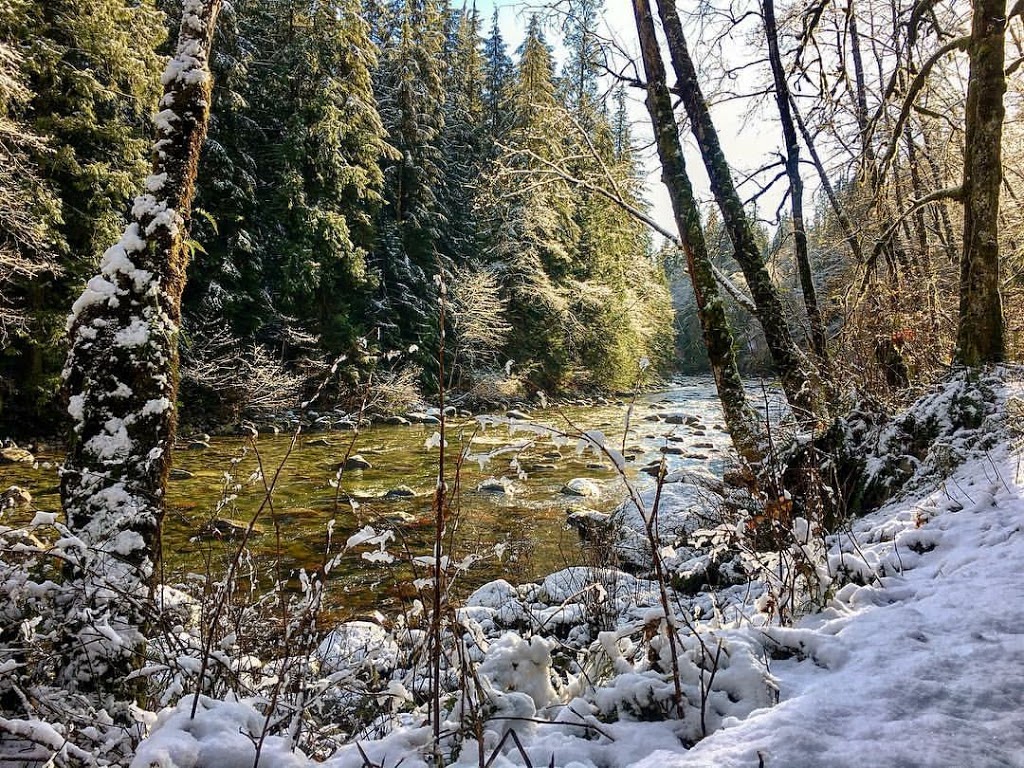 Lower Seymour Conservation Reserve | 2369 Lillooet Rd, North Vancouver, BC V7J 2H9, Canada | Phone: (778) 452-4583