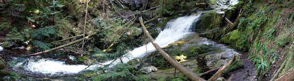 Woodland Walk Trail Head | 1500 Conifer Dr, Coquitlam, BC V3E 3H2, Canada