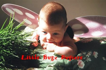 Little Bugz Daycare | 7075 200b St, Langley City, BC V2Y 2Z4, Canada