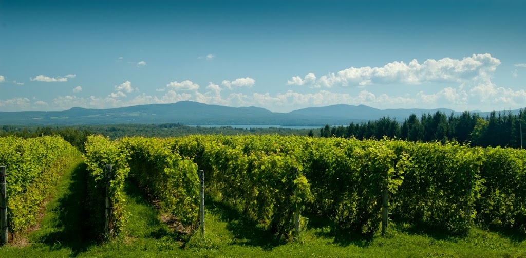 Domaine Les Brome / Léon Courville, winemaker | 285 Chemin Brome, Fulford, QC J0E 1S0, Canada | Phone: (450) 243-0266