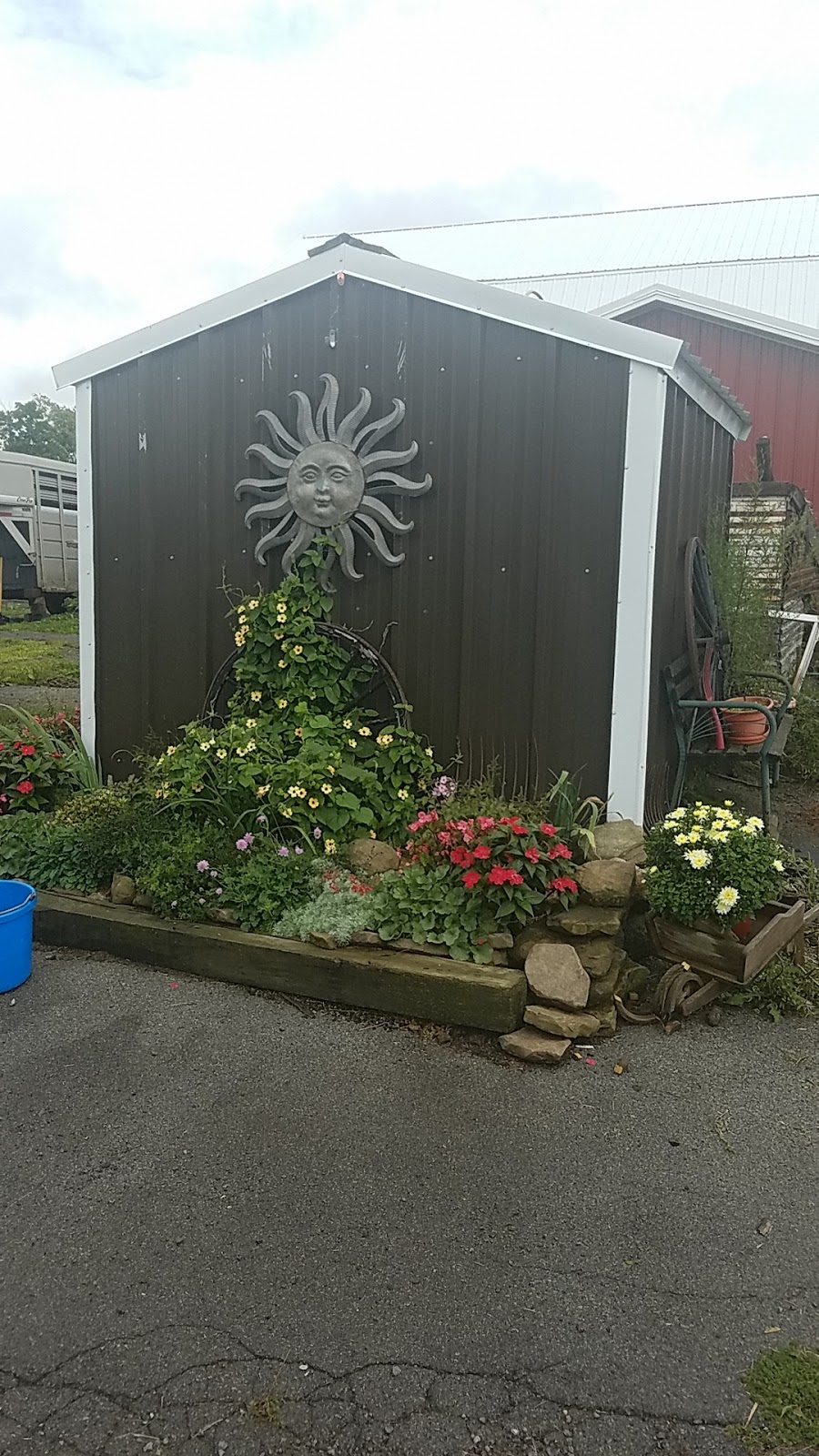 Windy Pines Farm | 10379 Crump Rd, Holland, NY 14080, USA | Phone: (716) 560-6116