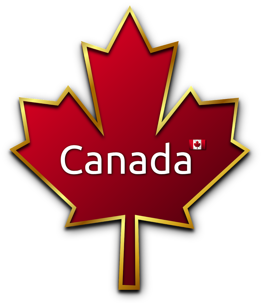 WayAhead Immigration Services | 700 Champlain Blvd, Cambridge, ON N1R 8K1, Canada | Phone: (647) 972-6351