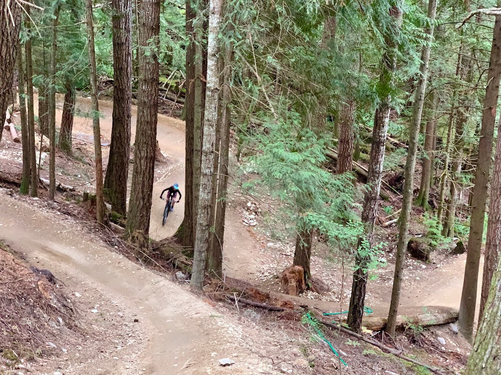 Coast Gravity Park | Sechelt, BC V0N 3A2, Canada | Phone: (604) 989-5431