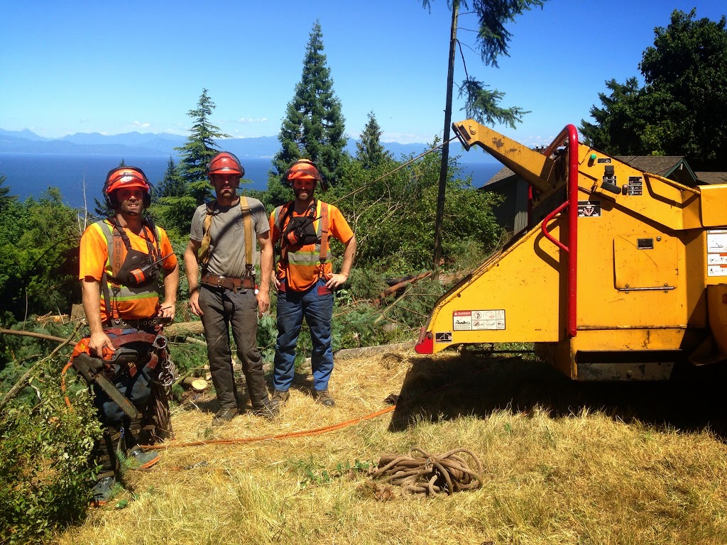 Adams Tree Service | 4701 Cardsview Terrace, Victoria, BC V9C 4E9, Canada | Phone: (250) 516-8315