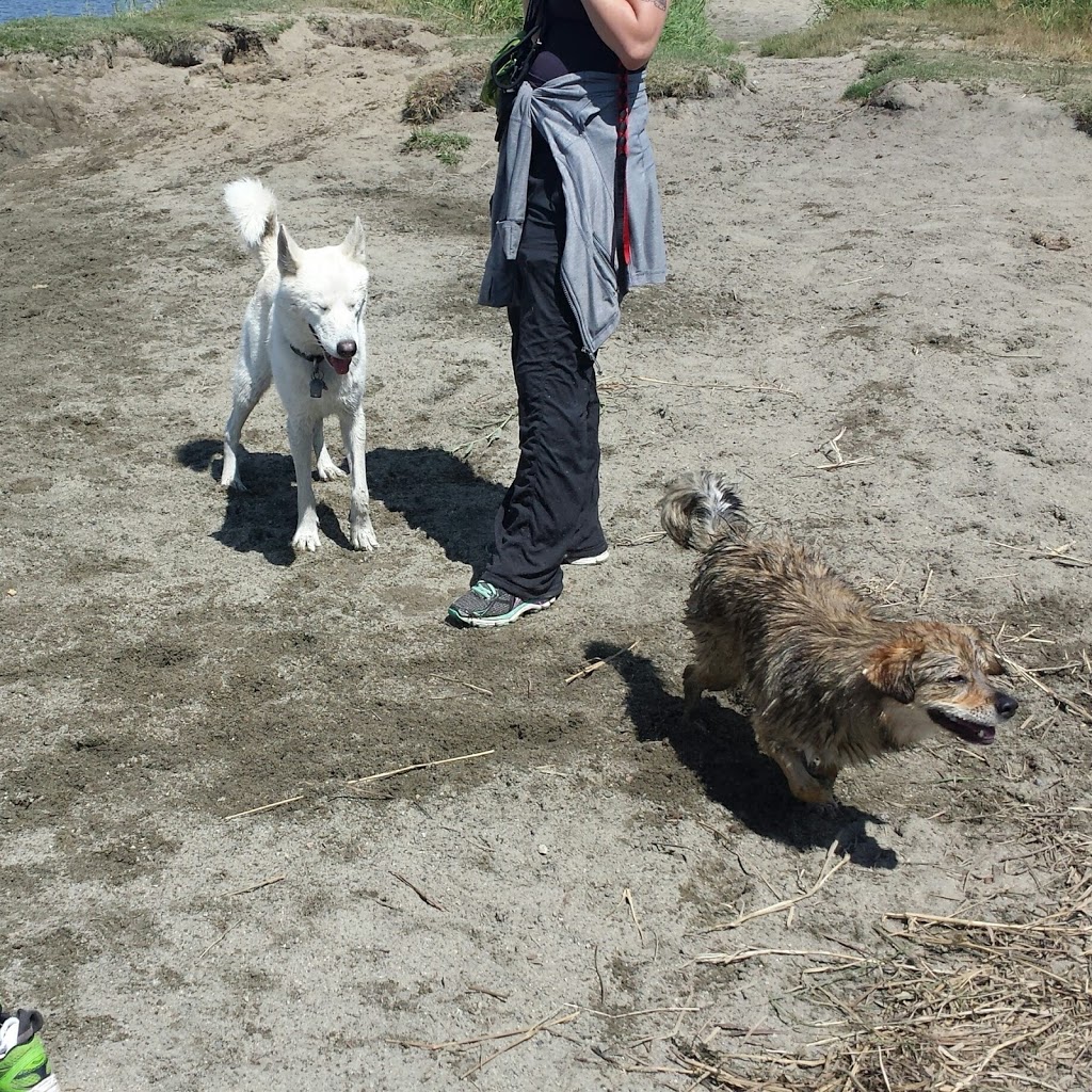 Maple Ridge Dyke Dog Park | 3080 Trans Canada Trail, Maple Ridge, BC V4R 2R9, Canada