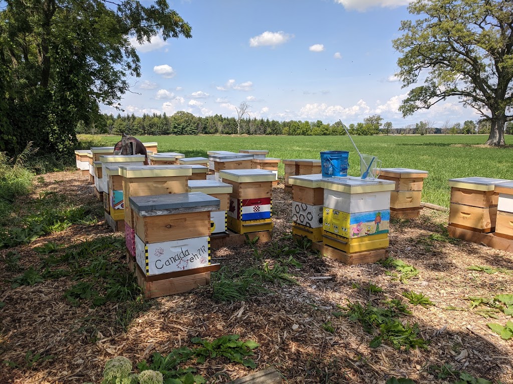 Backed By Bees | 6214 Appleby Line, Burlington, ON L7M 0P7, Canada | Phone: (905) 320-6214