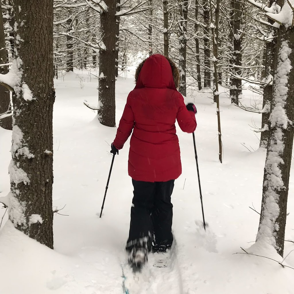 Kawartha Nordic Ski Club | Nordic Ski Ln, North Kawartha, ON K0L 2H0, Canada | Phone: (705) 931-5672