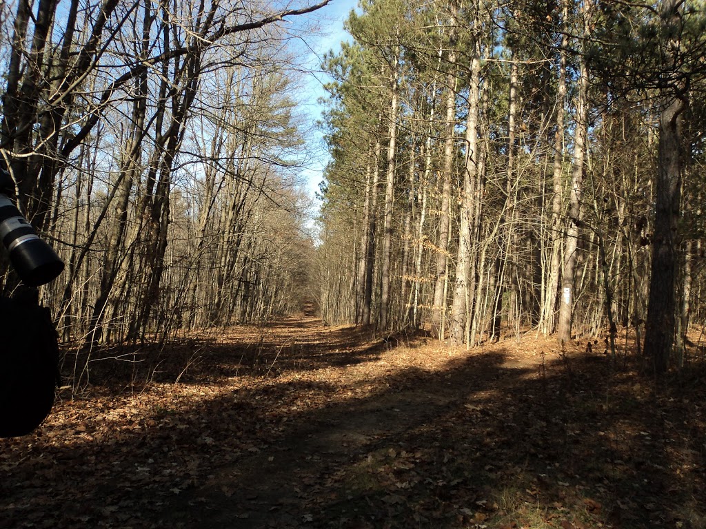 Walker Woods | Goodwood, ON L0C 1A0, Canada