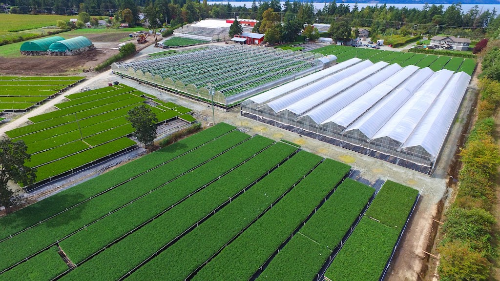 Arbutus Grove Nursery Ltd | 9721 W Saanich Rd, North Saanich, BC V8L 5T5, Canada | Phone: (250) 656-4162