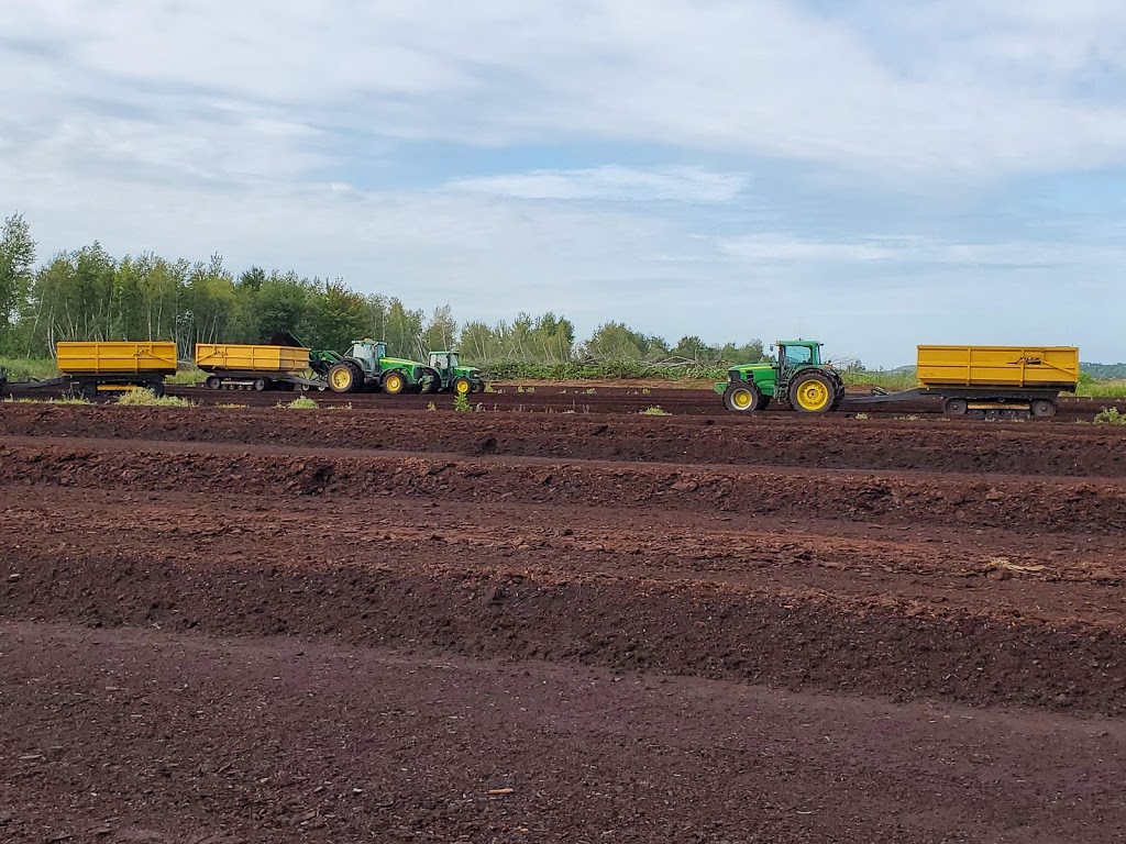 Topsoil Yves Malboeuf Custom Works | 619 Concession 7, Alfred, ON K0B 1A0, Canada | Phone: (613) 223-1830