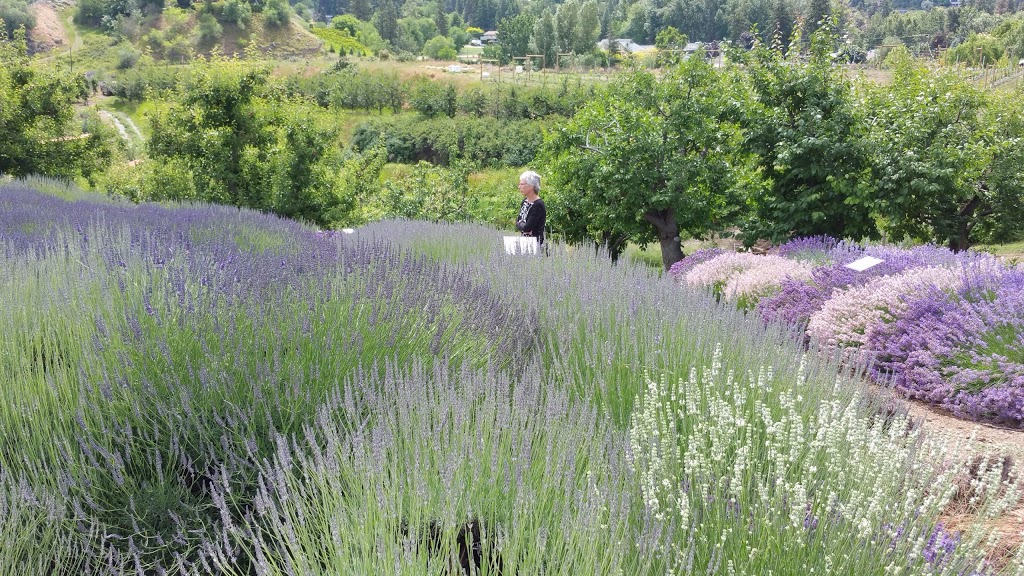 Forest Green Man Lavender Products | 126 Robinson Ave, Naramata, BC V0H 1N1, Canada | Phone: (250) 488-8365