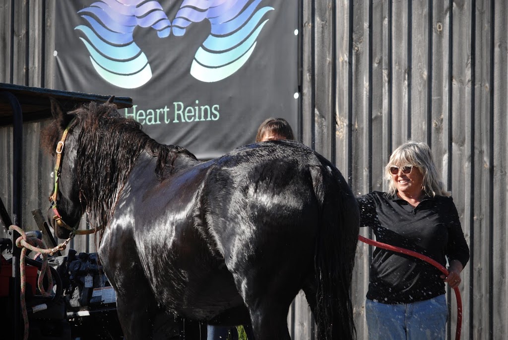 Heart Reins Iron Horse Ranch | 429497 8 Concession B, Singhampton, ON N0C 1M0, Canada | Phone: (705) 618-0231