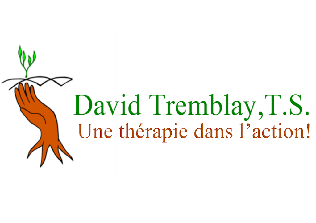 David Tremblay, T.S. | 3433 Boulevard de la Pinière #211, Terrebonne, QC J6X 0A1, Canada | Phone: (450) 964-5555