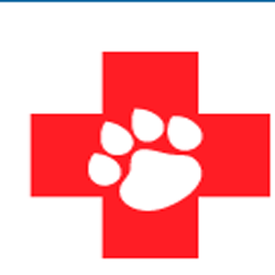 Barrie Animal Hospital | 424 Dunlop St W, Barrie, ON L4N 1C2, Canada | Phone: (705) 737-1900