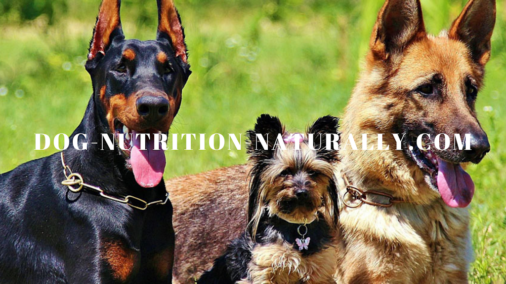 Dog Nutrition Naturally | 9 Grove St, Picton, ON K0K 2T0, Canada | Phone: (613) 471-1033