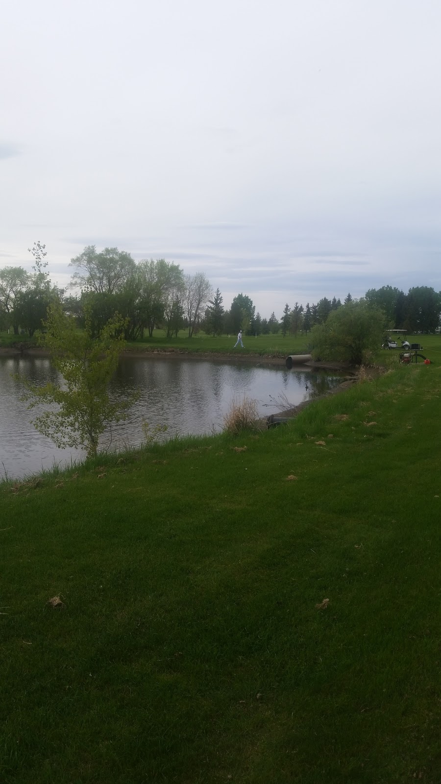 Fort in View Golf Course | 1 55028, Range Rd 230, Fort Saskatchewan, AB T8L 5B4, Canada | Phone: (780) 998-1234