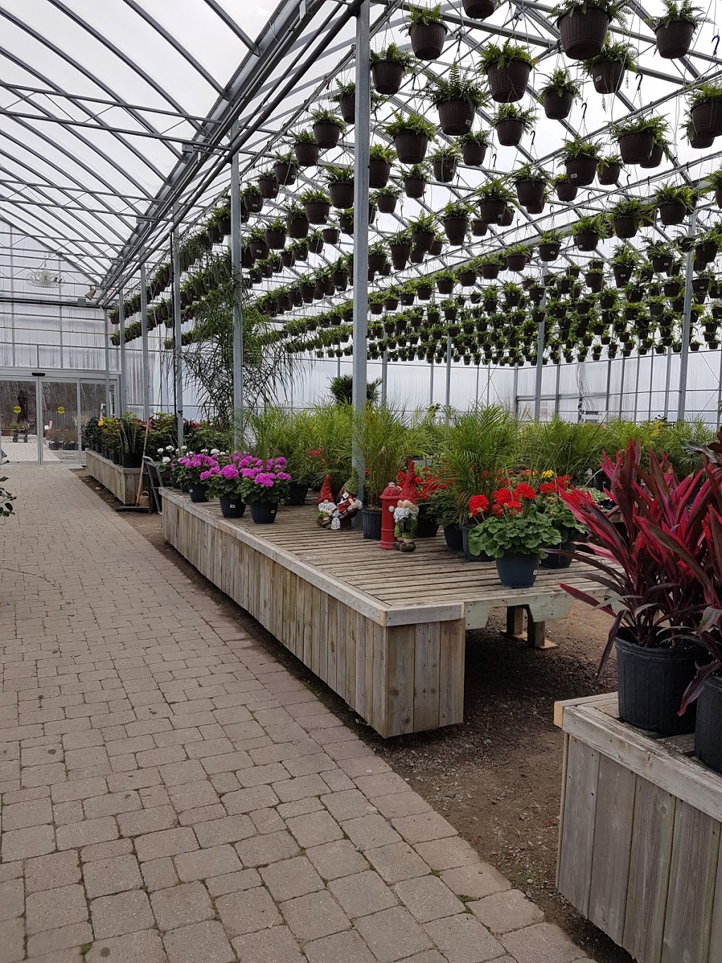 Vermeers Garden Centre & Flower Shop | 684 S Pelham Rd, Welland, ON L3C 3C8, Canada | Phone: (905) 735-5744