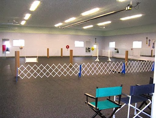 TNT Kennels & Training Center | 27624 Watson Rd, Abbotsford, BC V4X 1P4, Canada | Phone: (604) 857-4949